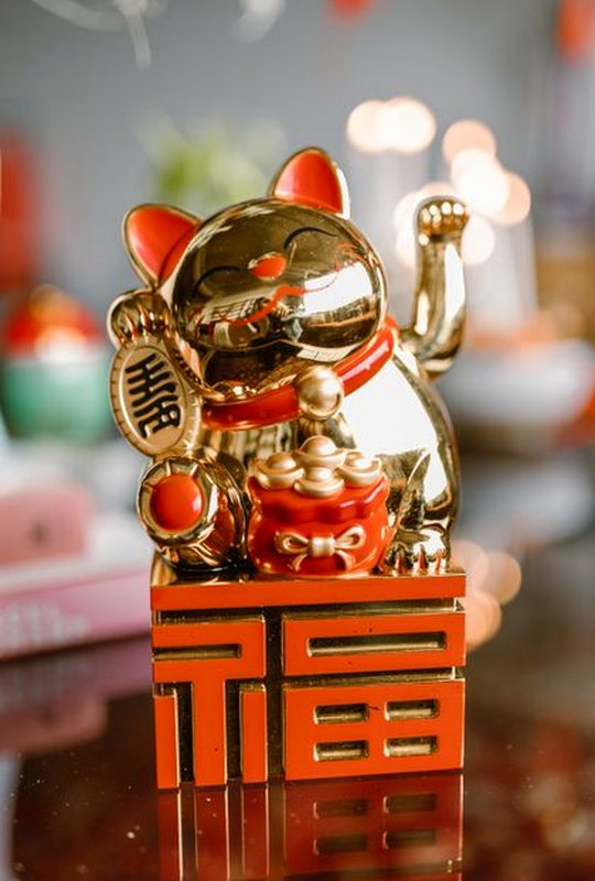 giấy phép Sodo