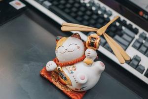 giấy phép Sodo